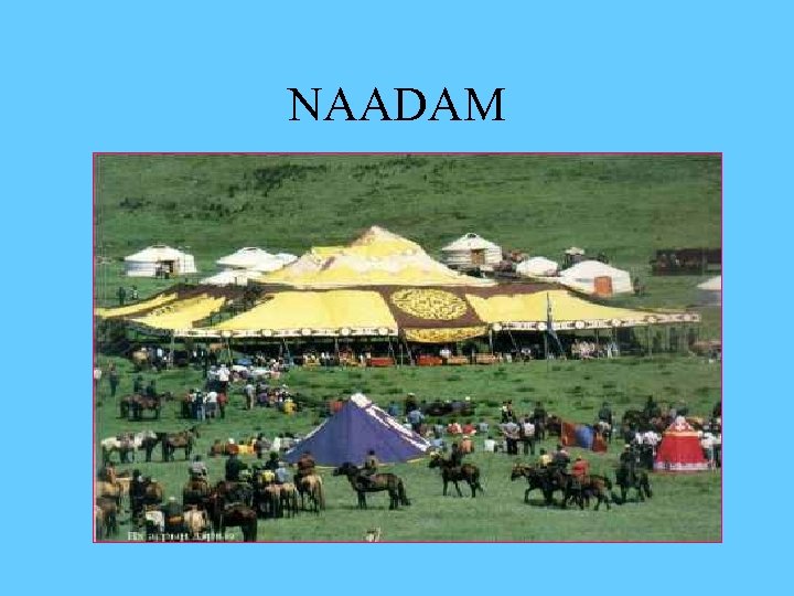 NAADAM 