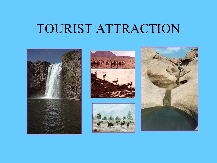 TOURIST ATTRACTION 