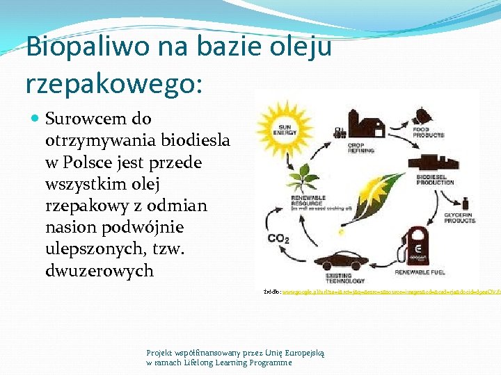 Biopaliwo na bazie oleju rzepakowego: Surowcem do otrzymywania biodiesla w Polsce jest przede wszystkim