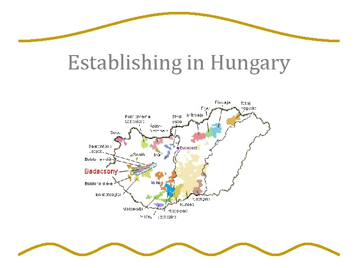 Establishing in Hungary 