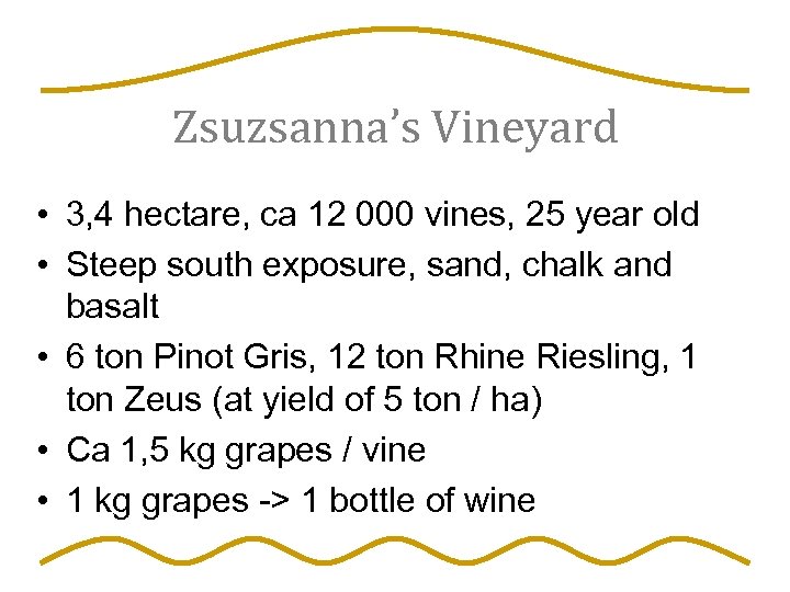 Zsuzsanna’s Vineyard • 3, 4 hectare, ca 12 000 vines, 25 year old •
