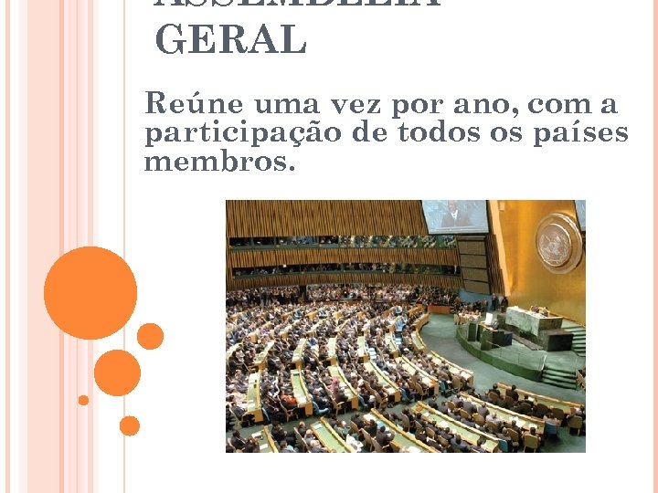 ASSEMBLÉIA GERAL Reúne uma vez por ano, com a participação de todos os países