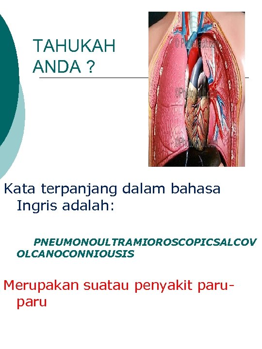 TAHUKAH ANDA ? Kata terpanjang dalam bahasa Ingris adalah: PNEUMONOULTRAMIOROSCOPICSALCOV OLCANOCONNIOUSIS Merupakan suatau penyakit