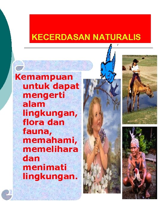 KECERDASAN NATURALIS Kemampuan untuk dapat mengerti alam lingkungan, flora dan fauna, memahami, memelihara dan