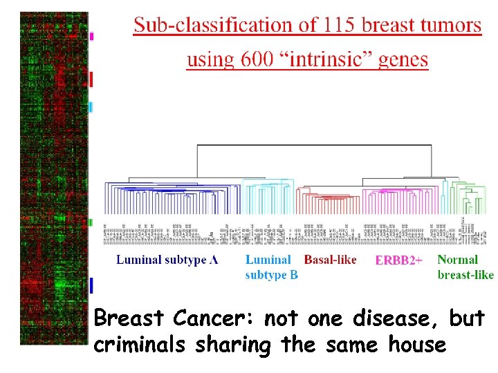 Breast Cancer: not one disease, but criminals sharing the same house 