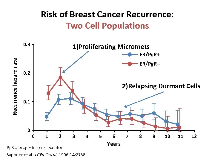 Risk of Breast Cancer Recurrence: Two Cell Populations Recurrence hazard rate 0. 3 1)Proliferating