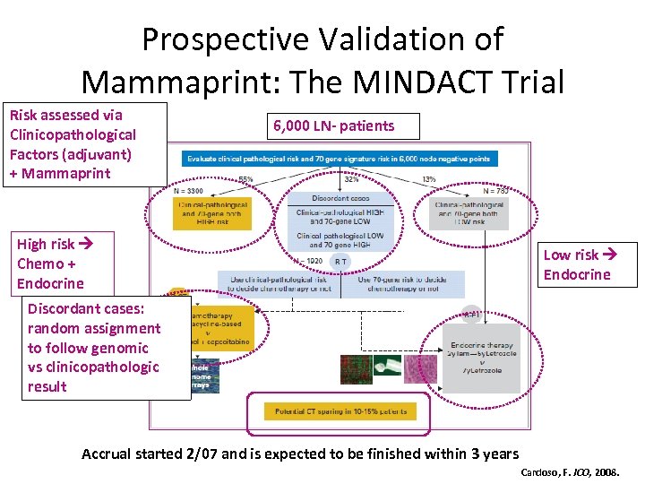 Prospective Validation of Mammaprint: The MINDACT Trial Risk assessed via Clinicopathological Factors (adjuvant) +