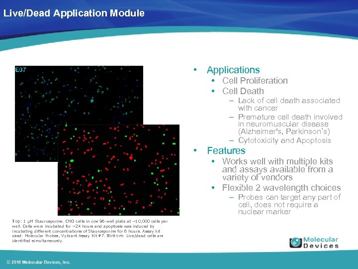 Live/Dead Application Module • Applications • Cell Proliferation • Cell Death – Lack of