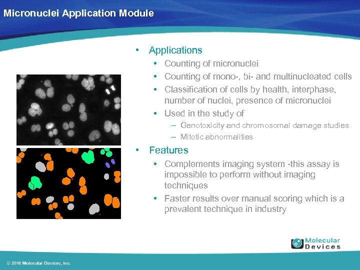 Micronuclei Application Module • Applications • Counting of micronuclei • Counting of mono-, bi-