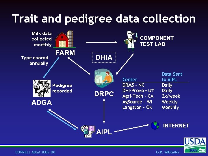 Trait and pedigree data collection Milk data collected monthly Type scored annually COMPONENT TEST