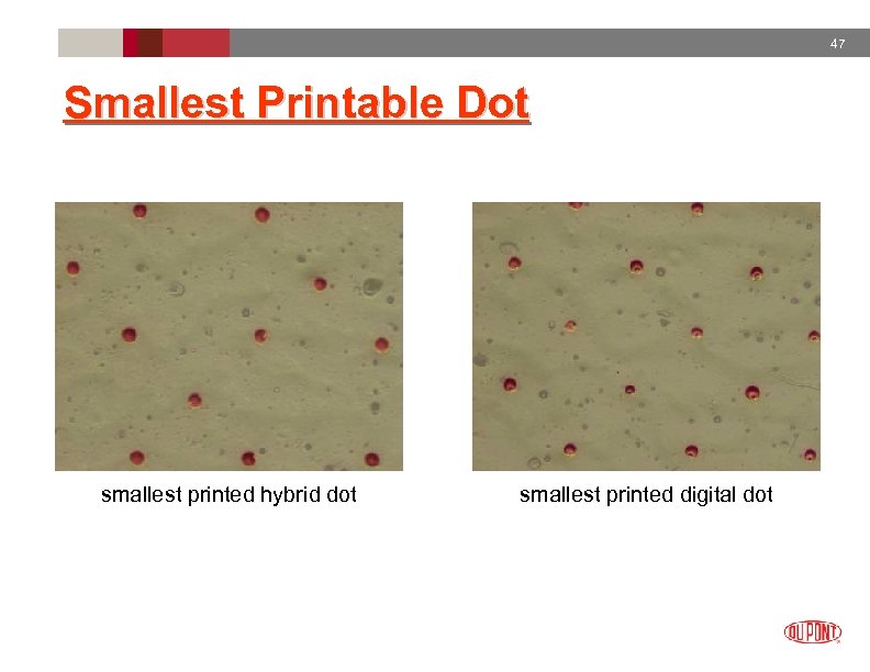 47 Smallest Printable Dot smallest printed hybrid dot smallest printed digital dot 
