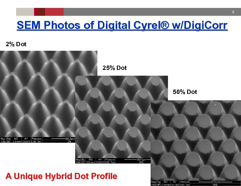 8 SEM Photos of Digital Cyrel® w/Digi. Corr 2% Dot 25% Dot 50% Dot