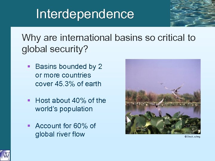 Interdependence Why are international basins so critical to global security? § Basins bounded by