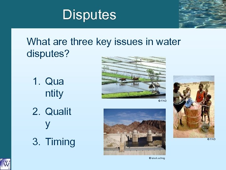 Disputes What are three key issues in water disputes? 1. Qua ntity © FAO