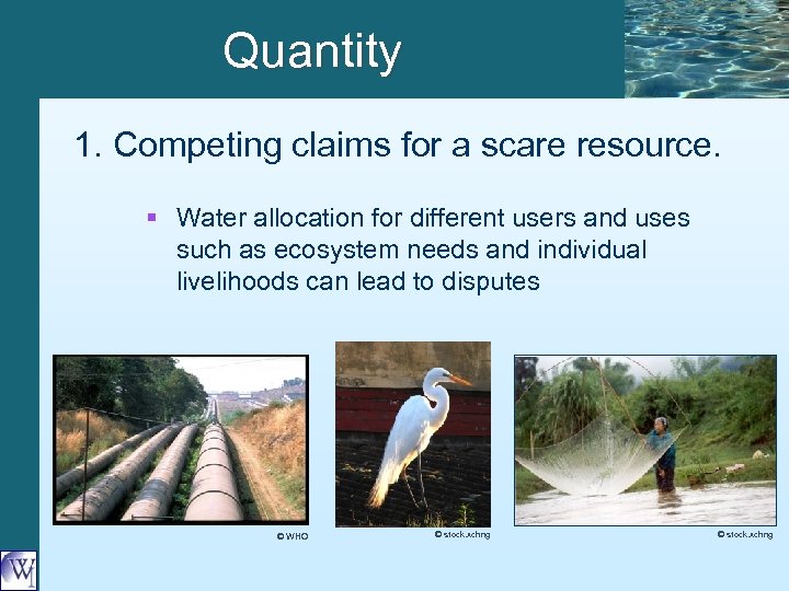 Quantity 1. Competing claims for a scare resource. § Water allocation for different users
