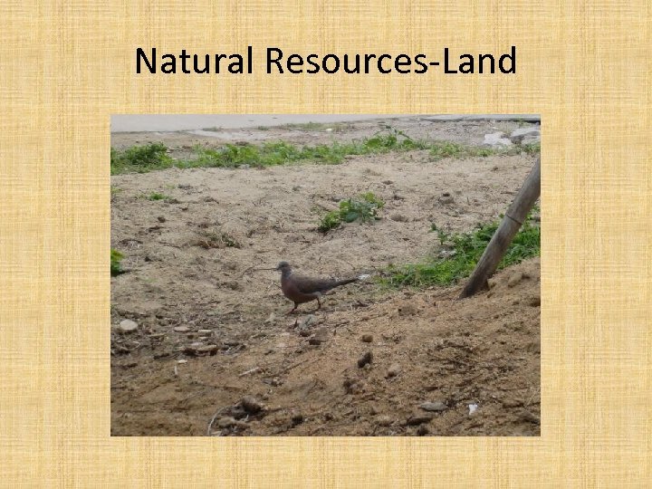 Natural Resources-Land 