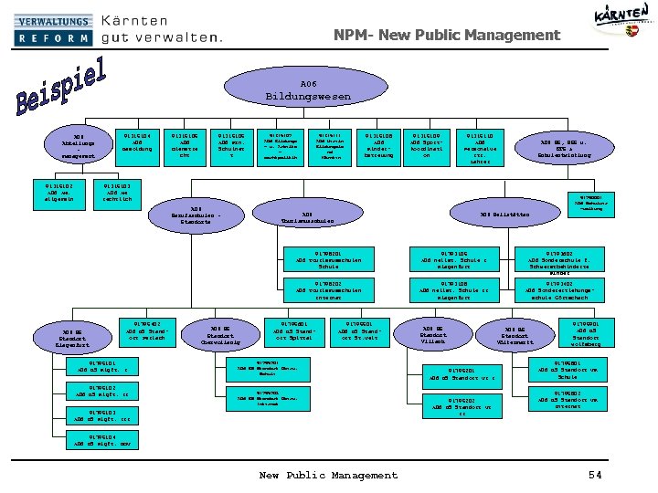 NPM- New Public Management A 06 Bildungswesen A 06 Abteilungs management 91315102 A 06
