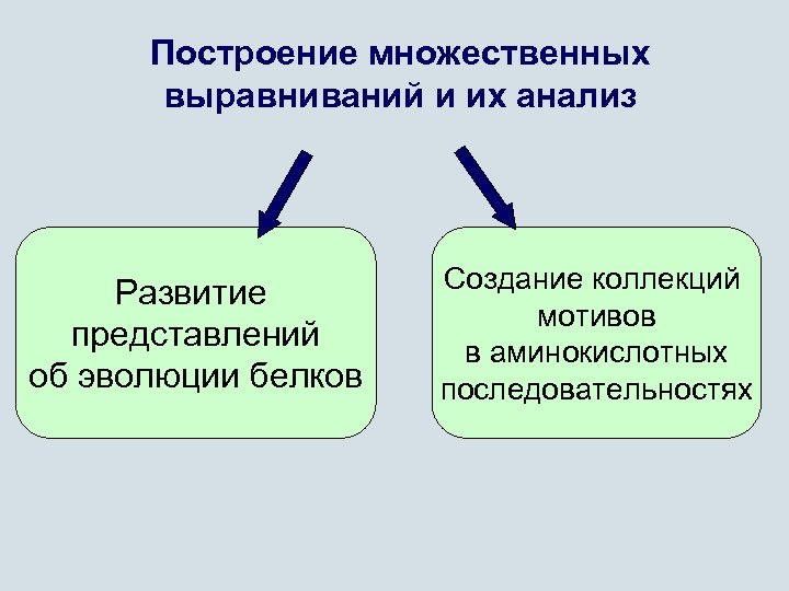 Построение множественных выравниваний и их анализ Развитие представлений об эволюции белков Создание коллекций мотивов