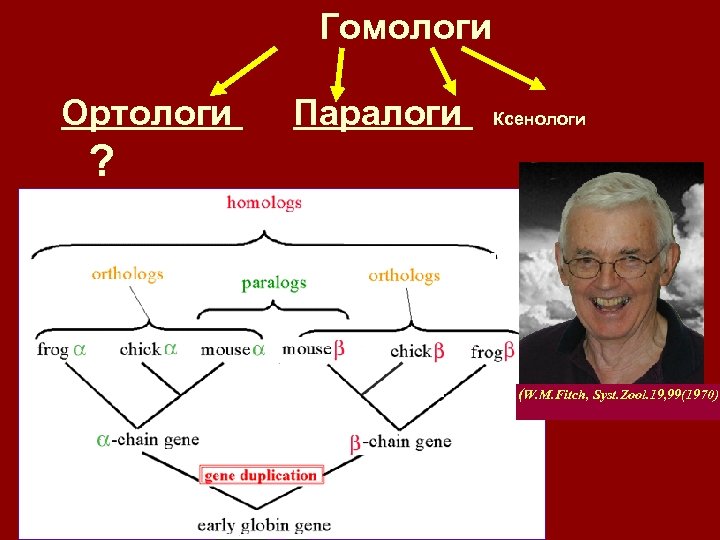 Гомологи Ортологи Паралоги Ксенологи ? (W. M. Fitch, Syst. Zool. 19, 99(1970) 