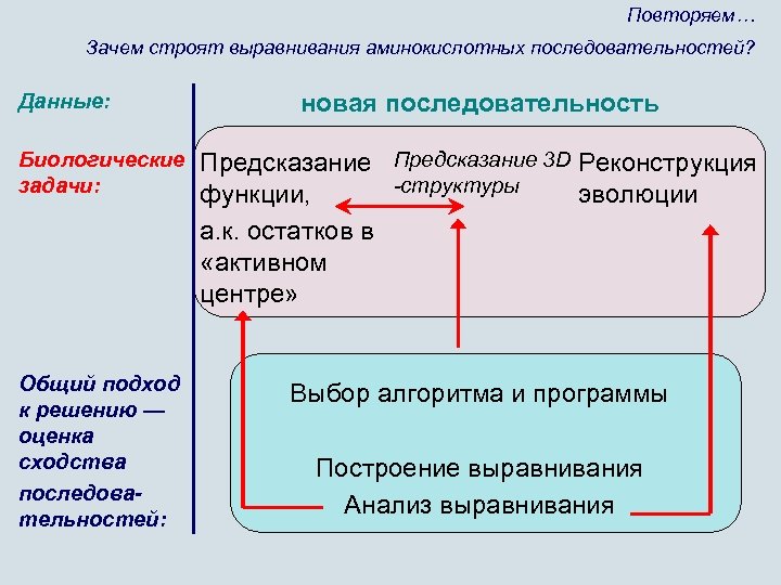 Повторяем… Зачем строят выравнивания аминокислотных последовательностей? Данные: новая последовательность Биологические задачи: Предсказание 3 D