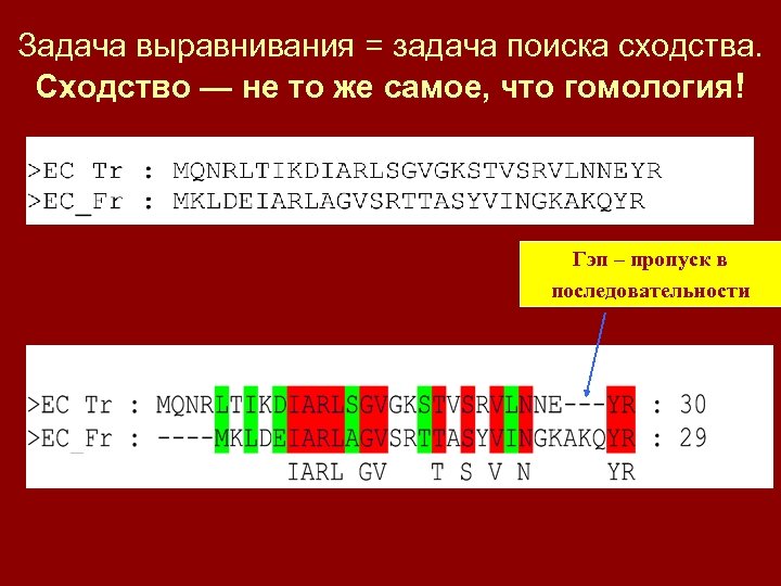 Задача выравнивания = задача поиска сходства. Сходство — не то же cамое, что гомология!