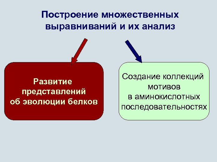 Построение множественных выравниваний и их анализ Развитие представлений об эволюции белков Создание коллекций мотивов