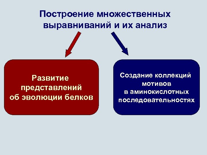 Построение множественных выравниваний и их анализ Развитие представлений об эволюции белков Создание коллекций мотивов