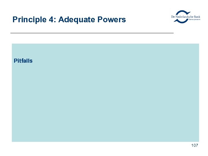 Principle 4: Adequate Powers Pitfalls 107 