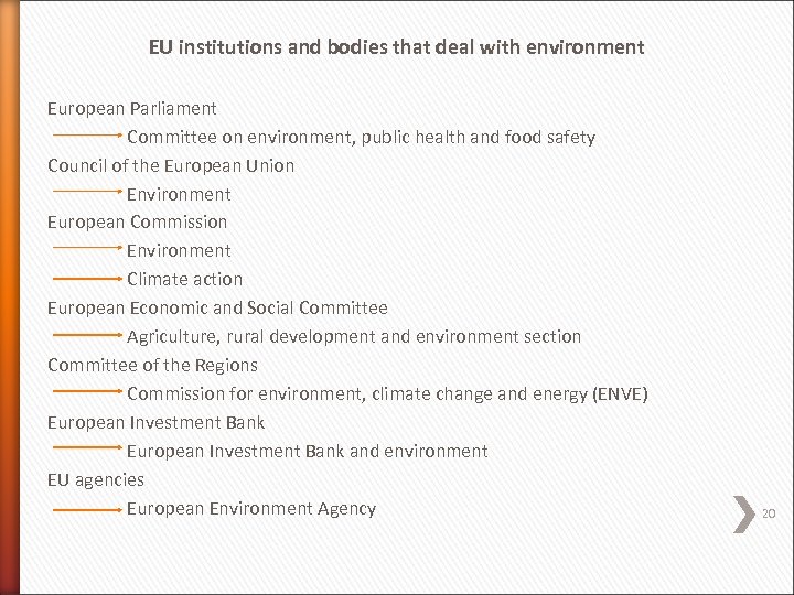 EU institutions and bodies that deal with environment European Parliament Committee on environment, public