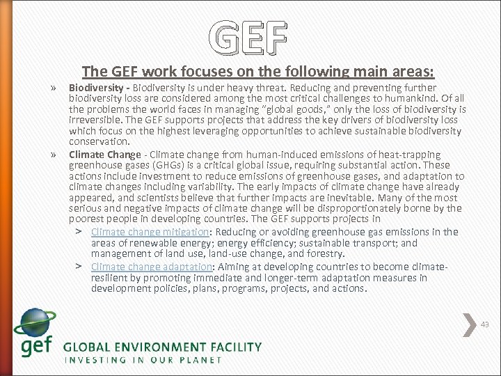 GEF » » The GEF work focuses on the following main areas: Biodiversity -