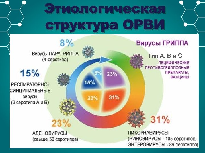 Этиологическая структура ОРВИ Тип А, В и С 