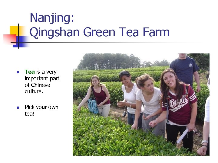 Nanjing: Qingshan Green Tea Farm n n Tea is a very important part of
