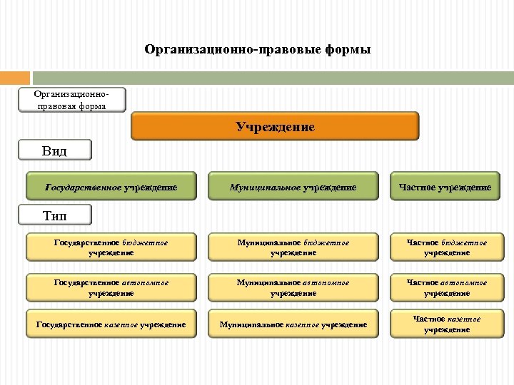 Правительство организационно правовая форма