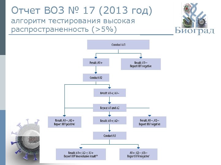 Отчет ВОЗ № 17 (2013 год) алгоритм тестирования высокая распространенность (>5%) © ЗАО «Биоград»