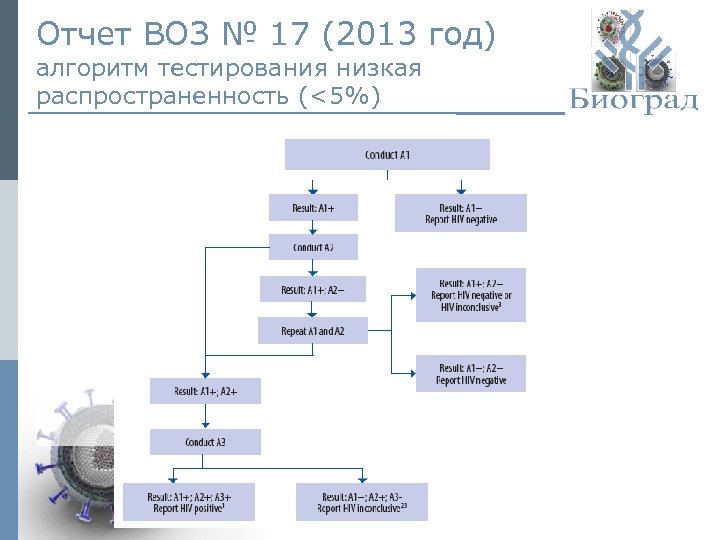 Отчет ВОЗ № 17 (2013 год) алгоритм тестирования низкая распространенность (<5%) © ЗАО «Биоград»