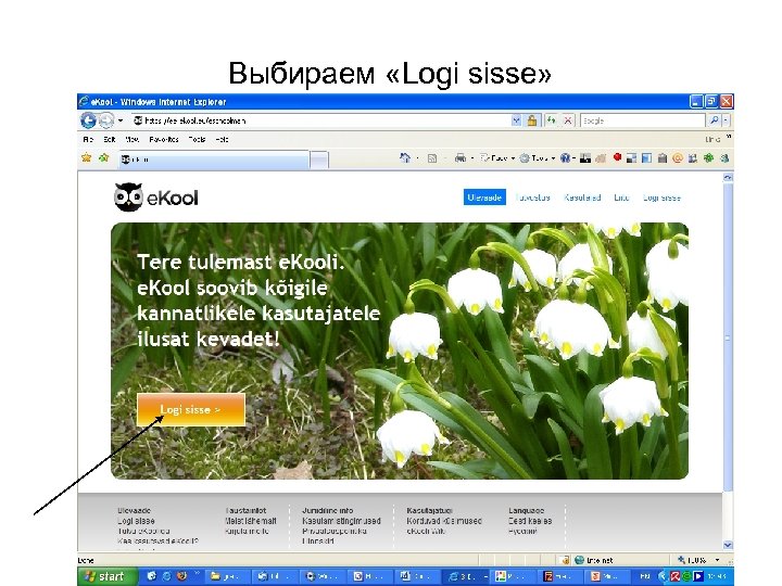 Выбираем «Logi sisse» 