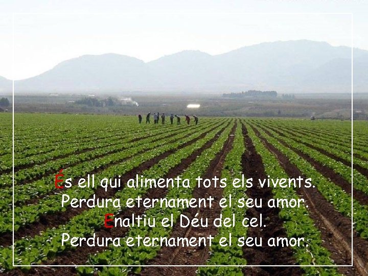 És ell qui alimenta tots els vivents. Perdura eternament el seu amor. Enaltiu el