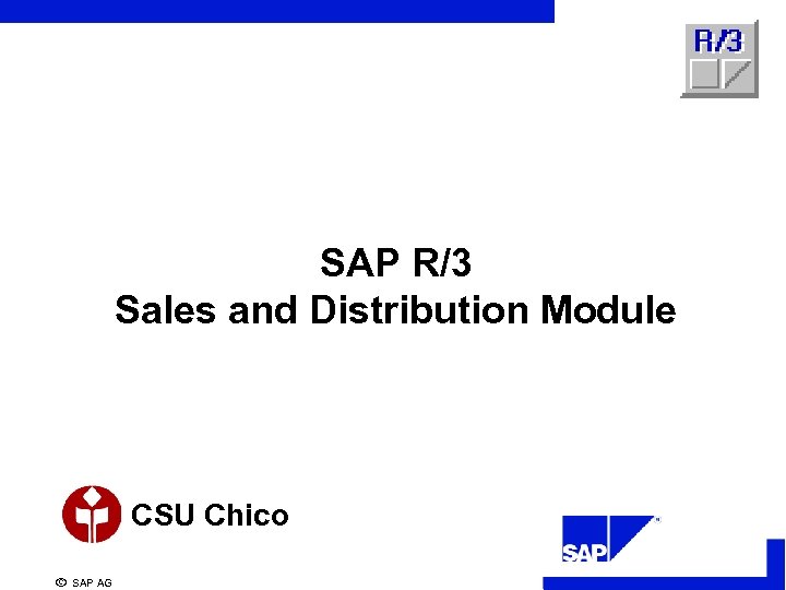 SAP R/3 Sales and Distribution Module CSU Chico ã SAP AG 