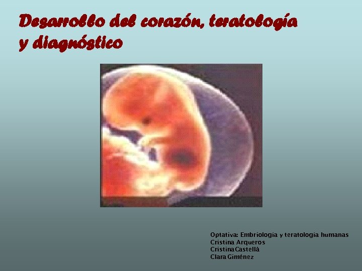 Desarrollo del corazón, teratología y diagnóstico Optativa: Embriología y teratología humanas Cristina Arqueros Cristina.