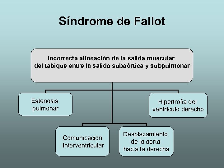 Síndrome de Fallot Incorrecta alineación de la salida muscular del tabique entre la salida