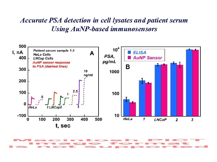 Accurate PSA detection in cell lysates and patient serum Using Au. NP-based immunosensors 