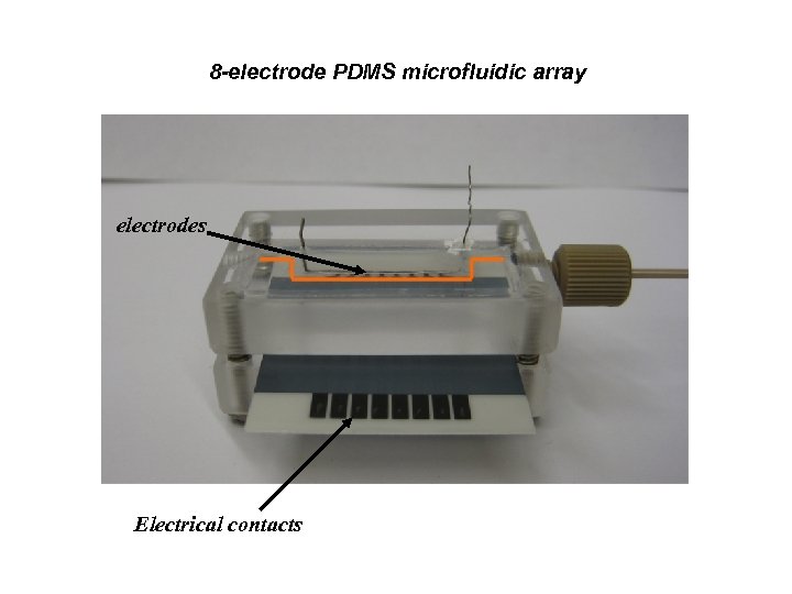 8 -electrode PDMS microfluidic array electrodes Electrical contacts 