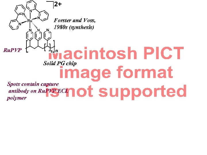 Forster and Voss, 1980 s (synthesis) Ru. PVP Solid PG chip Spots contain capture