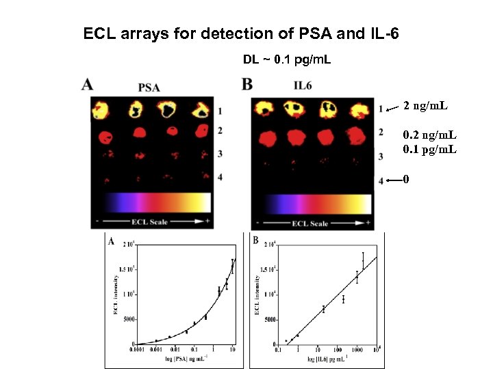 ECL arrays for detection of PSA and IL-6 DL ~ 0. 1 pg/m. L