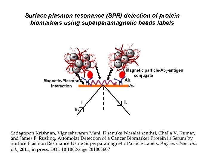 Surface plasmon resonance (SPR) detection of protein biomarkers using superparamagnetic beads labels 