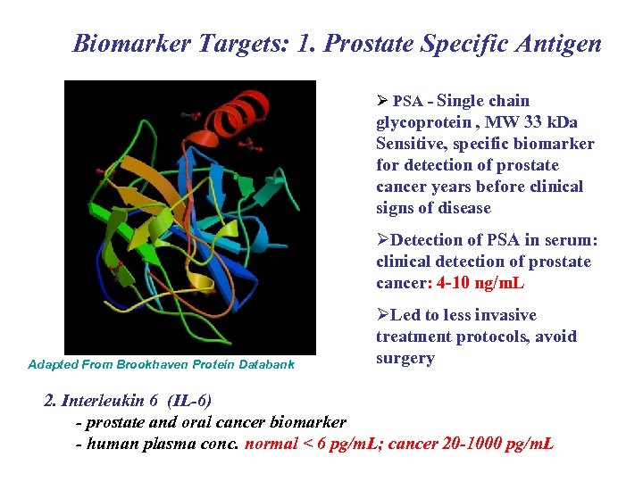 Biomarker Targets: 1. Prostate Specific Antigen Ø PSA - Single chain glycoprotein , MW