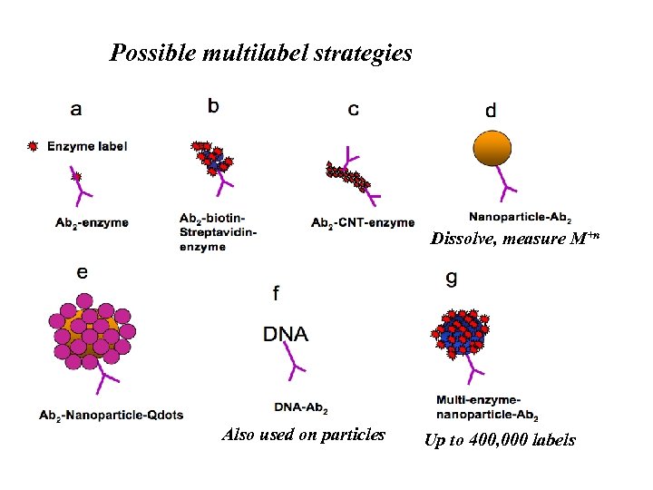 Possible multilabel strategies Dissolve, measure M+n Also used on particles Up to 400, 000