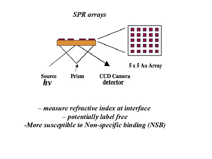 SPR arrays – measure refractive index at interface – potentially label free -More susceptible