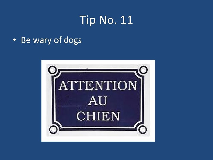 Tip No. 11 • Be wary of dogs 