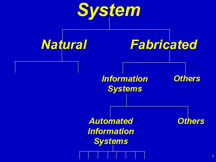 System Natural Fabricated Information Systems Automated Information Systems Others 7 